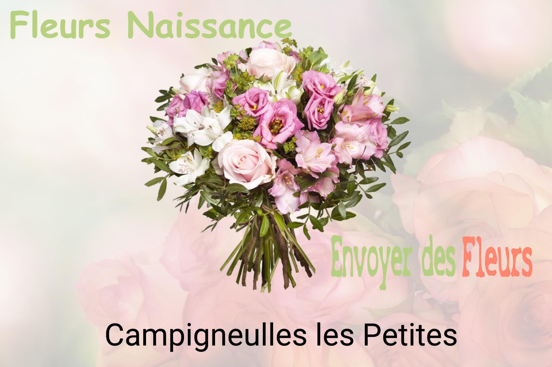Bouquet de fleurs de naissance livré à Campigneulles-les-Petites